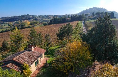 Bertinoro Casa | Il Vigneto Cottage