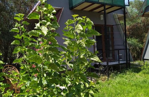 Ciftlik Apartamento | #İLK BAHAR