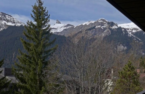 Wengen Apartamento | Im Gruebi Apt.5 by Interhome