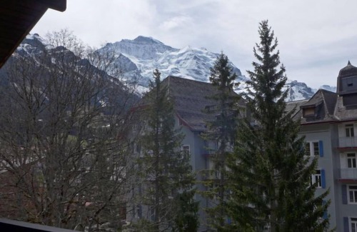 Wengen Apartamento | Im Gruebi Apt.5 by Interhome