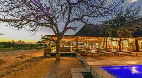 Hoedspruit Cabina | Imagine Africa Luxury Tented Camp