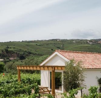 Lamego Villa | IMAGO Houses - Private Pool - Douro Valley - by MET