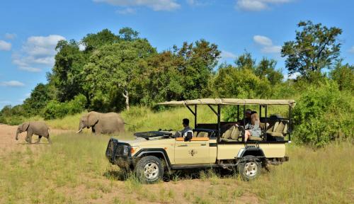 Kruger National Park Cabina | Imbali Safari Lodge