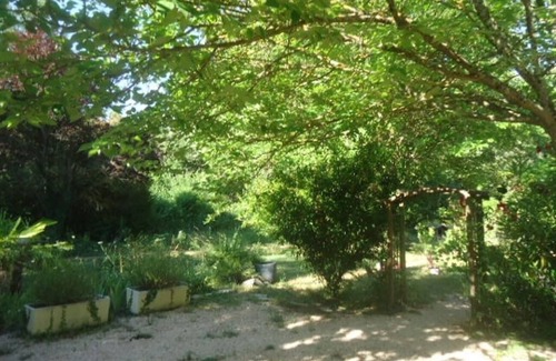 Brignoles Casa | In a forest, in a haven of greenery with private swimming pool.