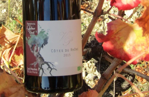 Mirabel-aux-Baronnies Cabaña | EN UN DROME PROVENZAL EN UN DOMINIO ORGÁNICO: VIDAS Y ÁRBOLES DE OLIVA