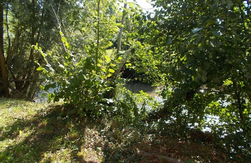Remalard-en-Perche Apartamento | In an old mill studio by the river in the heart of the park of the perche
