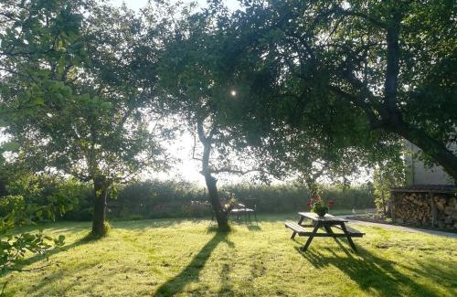 Burgh-Haamstede Apartamento | in de Boomgaard