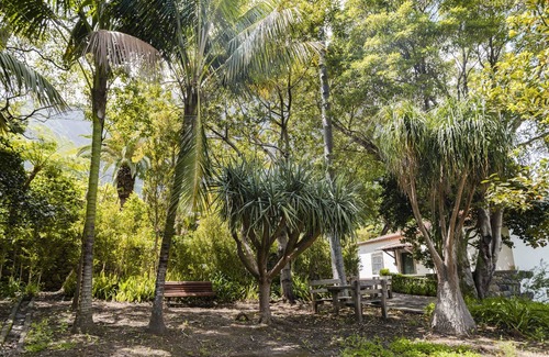 Sao Vicente Cabaña | In the Laurissilva Forest, Casa do Lanço - Carvalho,