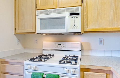 Oak Harbor Apartamento | In-Law suite with mountain views, patio, jetted tub, & full kitchen