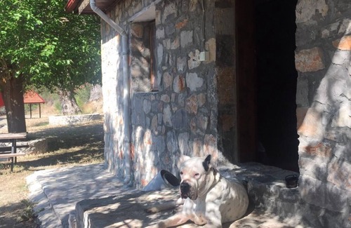 Ortaca Otro | İn nature silent, close to Iztuzu Beach in Dalyan and Eco-trail bicycle road