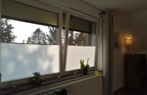 Quelkhorn Apartamento | In Summo Monte