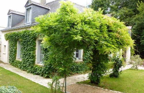 Veretz Casa | en el corazón de un pueblo histórico de Touraine, con gran jardín y bosque.