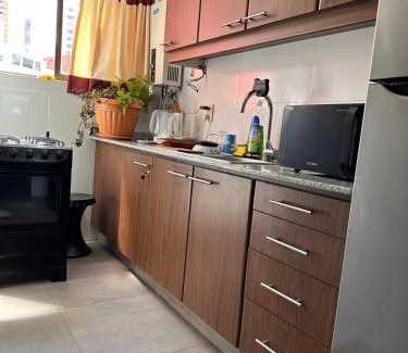 Tropical Lowlands Apartamento | In the heart of La Paz