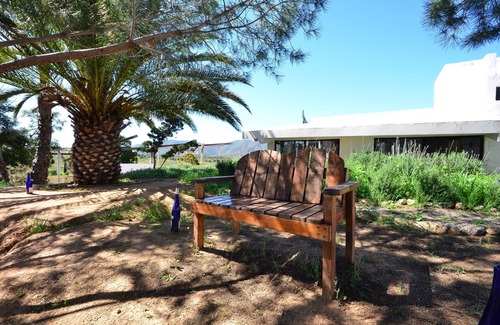 Valle de Guadalupe Cabina | DaNik, Valle de guadalupe