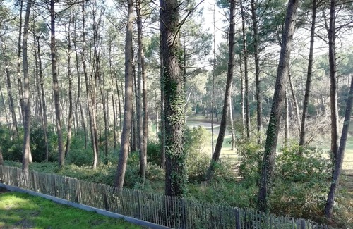 Lacanau-Ocean Apartamento | In the middle of the pines, attractive apartment for 2 - 4 people