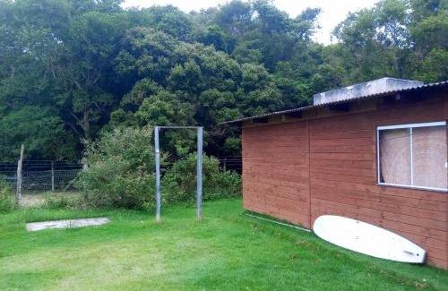 Muquem Otro | Inature