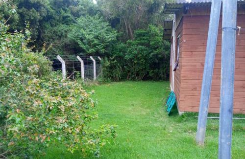 Muquem Otro | Inature