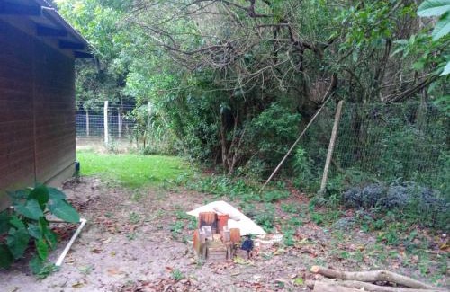 Muquem Otro | Inature