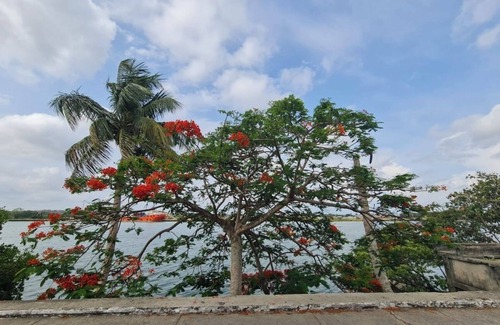 Tuxpan Apartamento | Increíble vista frente al Río