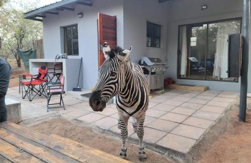 Marloth Park Apartamento | Indaba Kruger Safari The Cottage