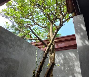Hettimulla Apartamento | Indra Sisila Resort and Villa Bentota