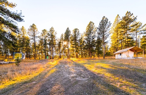 Custer Cabina | Industrial micro cabin in the forest