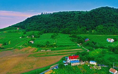 Somloszolos Casa | Inhauser Pincészet&Guesthouse&Restaurant