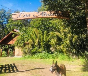 Lanin National Park Chalet De Esquí | Inigualable Cabaña a orillas del Lago Hermoso