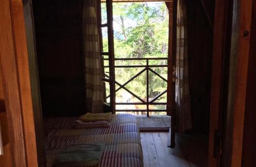 Lanin National Park Chalet De Esquí | Inigualable Cabaña a orillas del Lago Hermoso