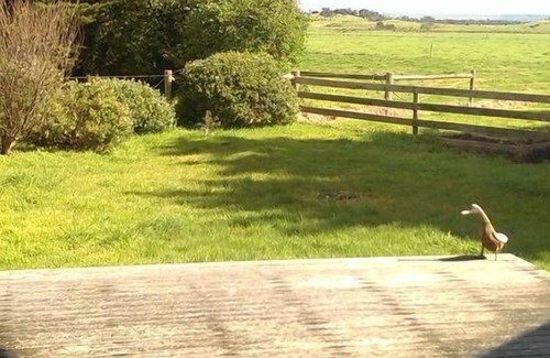 Yanakie Casa | INLET COTTAGE - ubicado en Wilsons Promontory