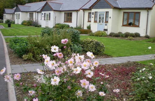 Davidstow Cabaña | Inny Glade. Tranquilo y espacioso bungalow junto al arroyo. Norte de Cornwall.