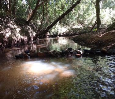 Parque Eldorado 1 Otro | Instituto Ambiental Bugio Ruivo