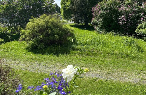 Kemi Apartamento | Interesting Kemi Apartment with Sauna department & Free Parking