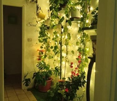 Gravina di Catania Apartamento | INTERO APPARTAMENTO catania policlinico