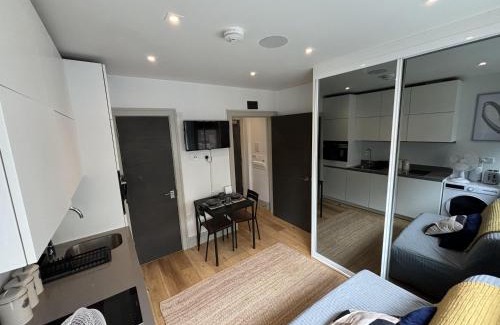 Broad Green Apartamento | Inviting Studio Apartment - Central Croydon London