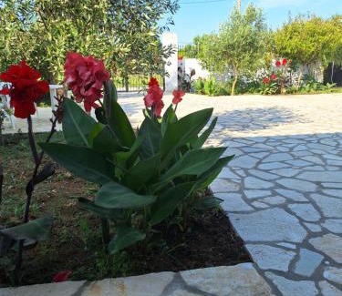 Ag. Georgios Casa | Ioanna's house
