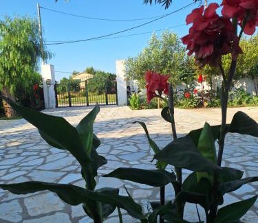 Ag. Georgios Casa | Ioanna's house