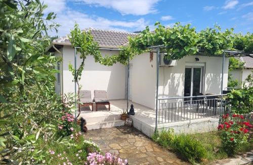 Skala Potamias Casa | Ioannis Houses - gemütliches Ferienhaus im Olivenhain
