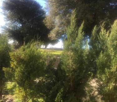 Dodoni Casa | Ionas House