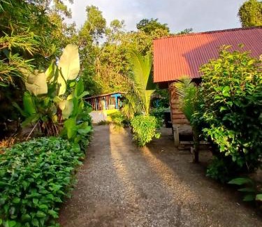Nuqui Hotel | Iracas del mar