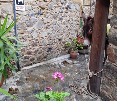 Kakopetria Casa | Irene's House