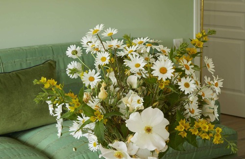 Doudeville Casa | Irene's House