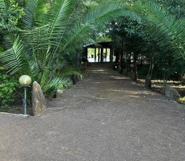 Mara North Conservancy Cabina | Iretet camp