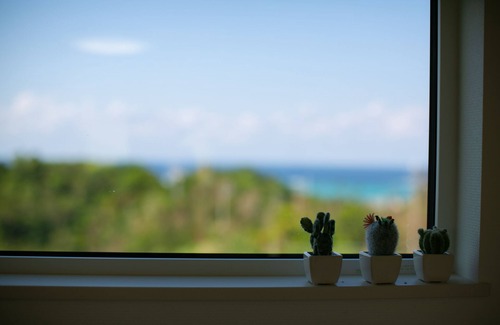 Maeganeku Casa | Irie House