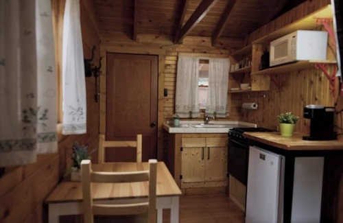 Lake City Cabina | Iris Cabin with Mountain Views