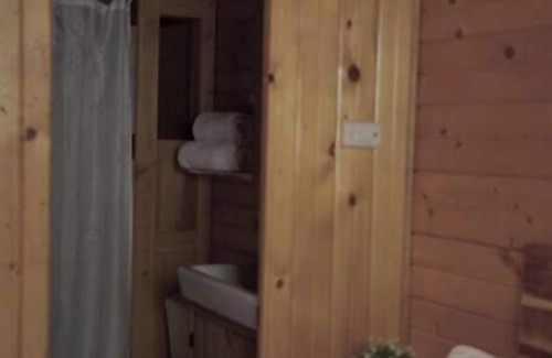 Lake City Cabina | Iris Cabin with Mountain Views