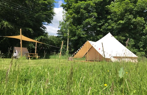 Swannington Cabina | Iris, peaceful and hidden away in rural Norfolk amongst wild flowers.