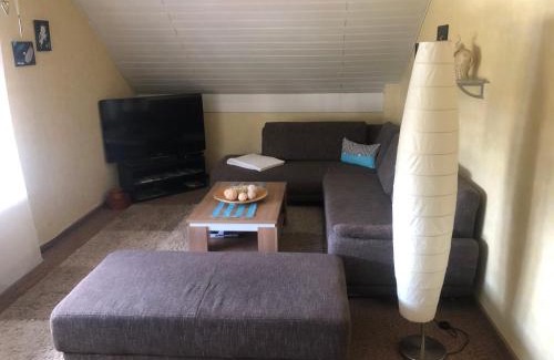 Eisen Apartamento | Ironico Homestay 4 Schlafzimmer Ferienwohnung 100 m2 nahe Bostalsee