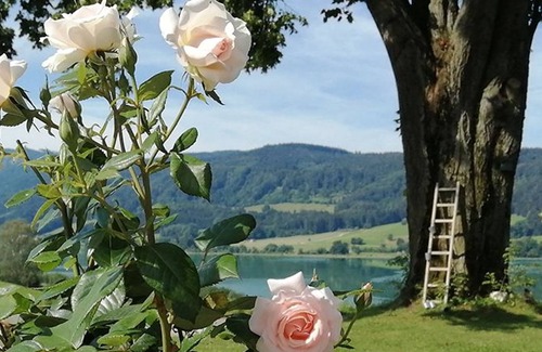 Oberhofen am Irrsee Apartamento | Irrsee - Roiderhof am Irrsee