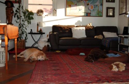 Sintra Casa | Isa's Home